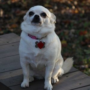 Meet your Posher, Madison